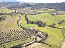Terreno Agricolo in vendita a Cinigiano zona montecucco zona piantaverna