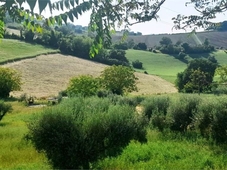 Terreno Agricolo in vendita a Osimo