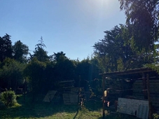 Terreno Agricolo in vendita a Piombino