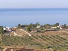Terreno Agricolo in vendita a Sciacca san giorgio