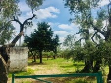 Terreno Agricolo in vendita a Toritto