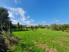 Terreno Agricolo in vendita a Tortolì località Orrì
