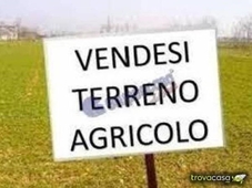 Terreno Agricolo in vendita a Luogosanto strada Provinciale per Luogosanto, 10