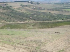 Terreno Edificabile in vendita a Sciacca