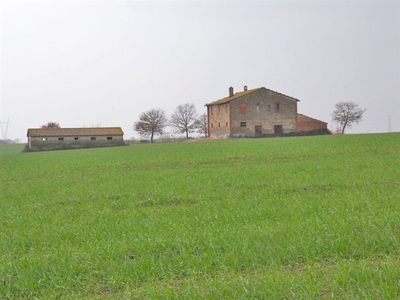 Azienda Agricola con Casolare in Pietra in Vendita a Castiglion del Lago