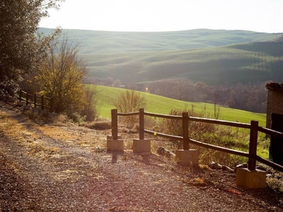 Proprietà Agricola in Vendita a Trequanda