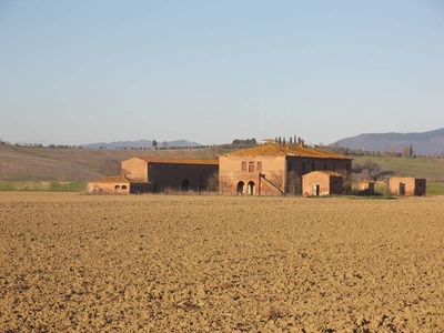 Azienda Agricola in Vendita a Sinalunga: Terreni Fertili e Potenziale di Sviluppo