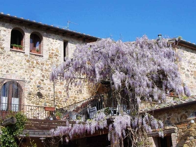 Agritourism / struttura ricettiva for sale in Cinigiano (Grosseto)