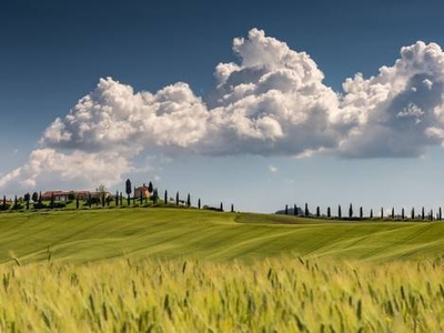 Casale in Pietra con Piscina e Giardino Panoramico in Vendita a Foiano della Chiana, Toscana
