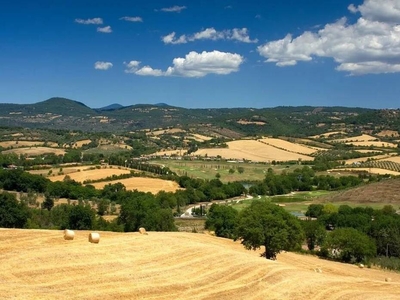 In Vendita: Elegante Rustico in Pietra a Gavorrano, Toscana