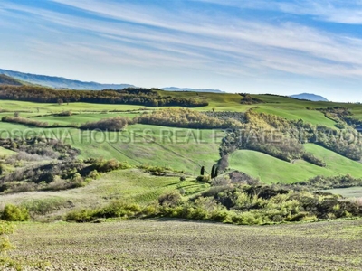 For Sale: Historic Panoramic Ruin in Val d'Orcia, Tuscany