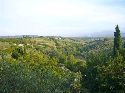 In Vendita: Splendida Villa con Vista Panoramica e Uliveto a Bagno a Ripoli, Toscana