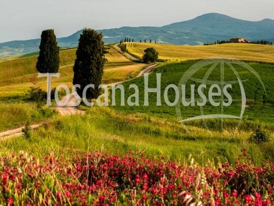 Lussuosa struttura ricettiva /Agriturismo in vendita a Montalcino (Siena)