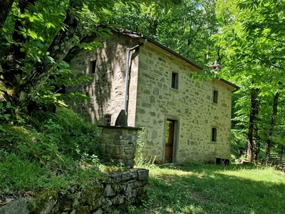 RIFUGIO IN SASSO CON MQ 10.000 DI BOSCO