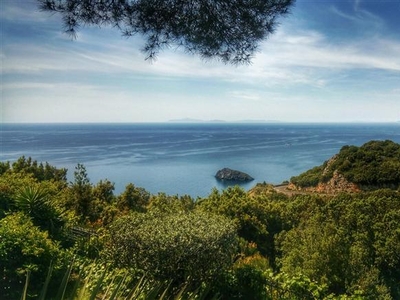 Villa with Panoramic View in Monte Argentario - For Sale