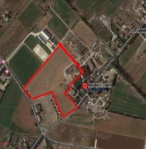 Azienda agricola in Vendita in Via monteroni a Ladispoli