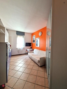 Appartamento in Affitto in Via Attilio Momigliano a Milano