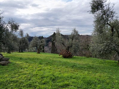 Casa indipendente in Via Lucca Camaiore Viareggio - Nord, Pescaglia