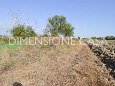 Terreno agricolo in Vendita a CONCORDIA SULLA SECCHIA – 2504