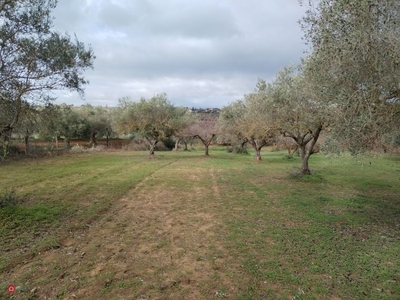 Terreno agricolo in Vendita in Contrada Piano Evoli a Caltagirone