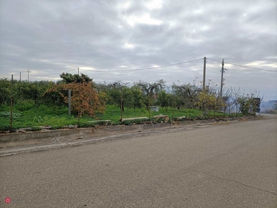 Terreno agricolo in Vendita in Strada Provinciale 77 0 sn a Belpasso