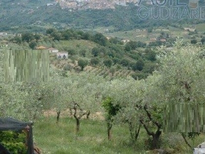 Terreno agricolo in Vendita in Via Carretiello a Roccadaspide