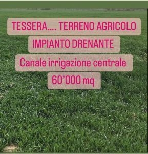 Terreno agricolo in Vendita in Via Triestina a Venezia