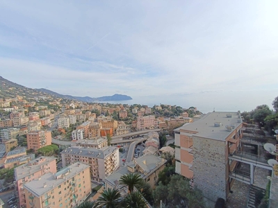 Affitto Appartamento VIA BIASIOLI, Genova