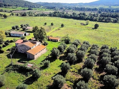 Agricultural Estate for Sale in Capalbio: Land, Farmhouse, and Development Potential
