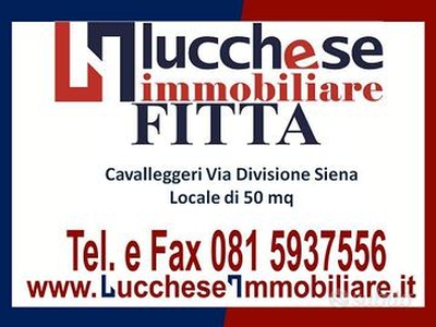 Fuorigrotta-Cavalleggeri Divisione Siena Rif.486L