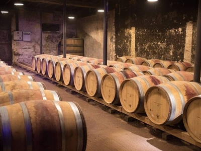 Magnifica Azienda Vinicola in Vendita con Terreno Panoramico a Montepulciano