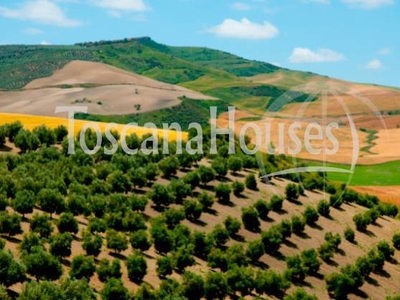 Casale Rustico in Vendita a Castiglion Fiorentino