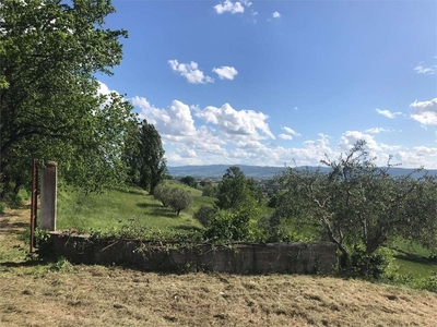 Vendita Terreno Agricolo Assisi