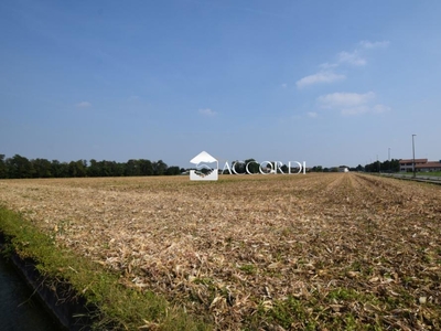 terreno agricolo in vendita a Trevignano