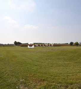 terreno agricolo in vendita a Trevignano