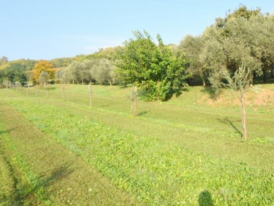 terreno agricolo in vendita a Volpago del Montello
