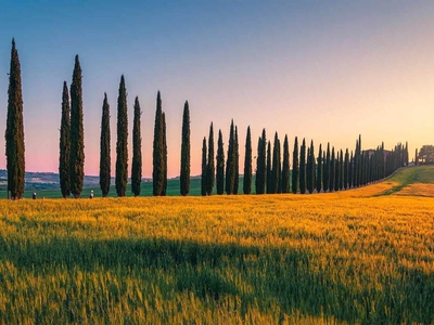 Bellissimo Casolare con piscina in Vendita tra le colline della Val d'Orcia