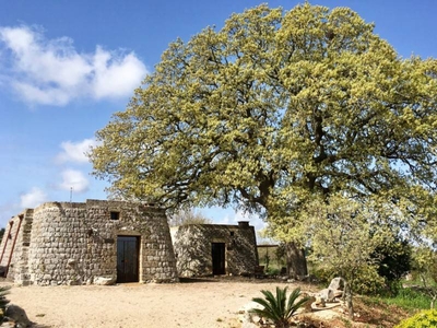 Casa a Tricase con barbecue