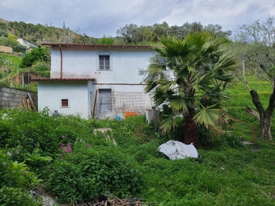 Casa indipendente in vendita a Pietrasanta