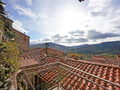 Casa indipendente in vendita a Santa Fiora