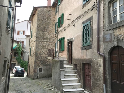 Casa semi indipendente in vendita a Castel Del Piano Grosseto