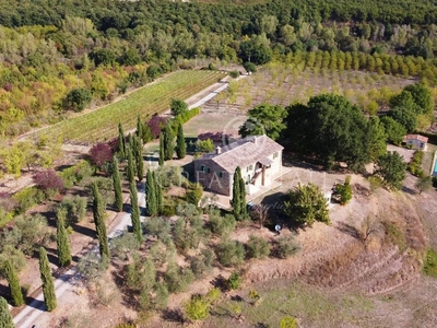 Lussuoso casale in vendita San Casciano dei Bagni, Toscana