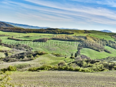 Rustico casale in vendita a Radicofani Siena