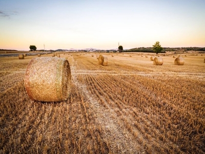 Terreno Agricolo in vendita a Bellinzago Novarese