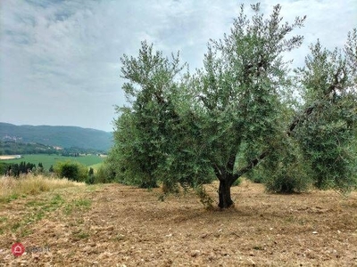 terreno agricolo in vendita a Corciano