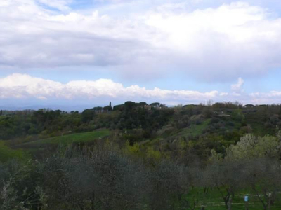 terreno agricolo in vendita a Empoli