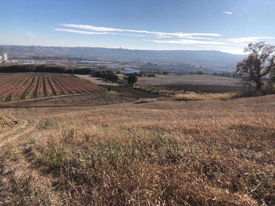 Terreno agricolo in vendita a Guglionesi