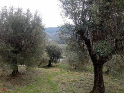 terreno agricolo in vendita a Magione