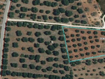 terreno agricolo in vendita a Manduria