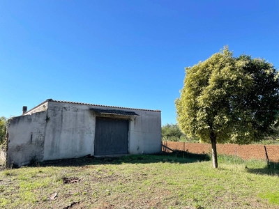 Terreno agricolo in Vendita a Nepi